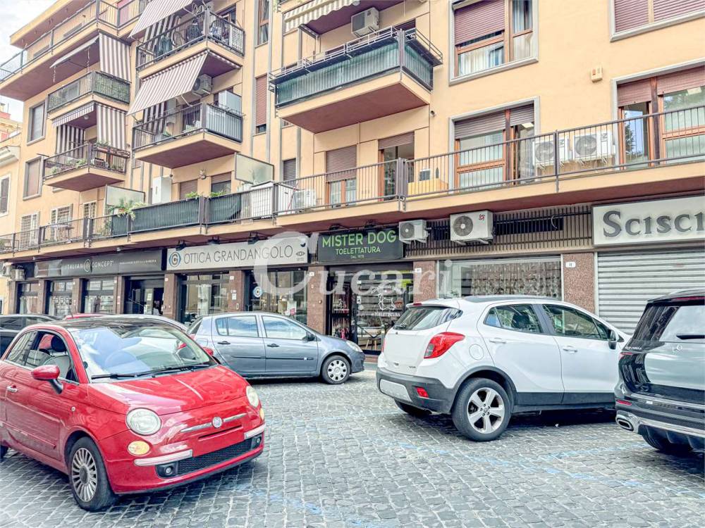 immagine annuncio 6 di 12