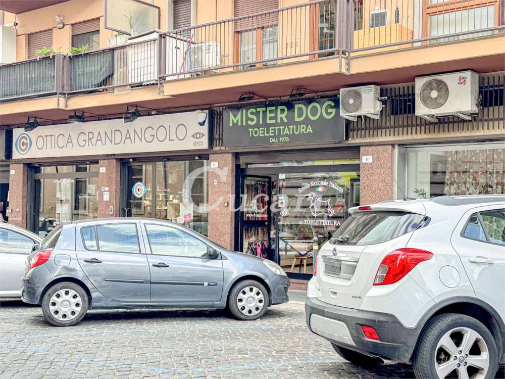 immagine annuncio 8 di 12