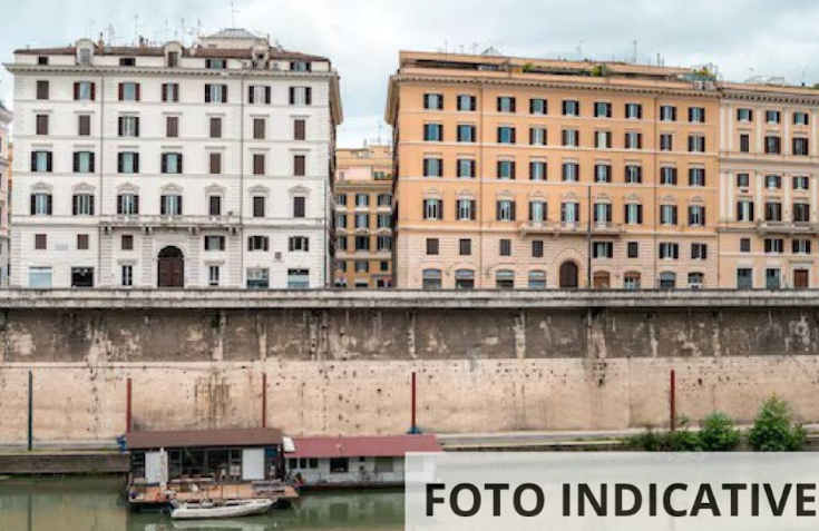 immagine annuncio 3 di 13