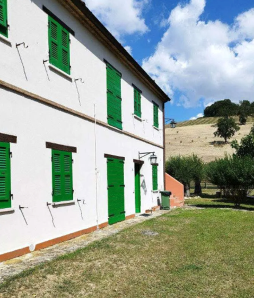 immagine annuncio 3 di 13