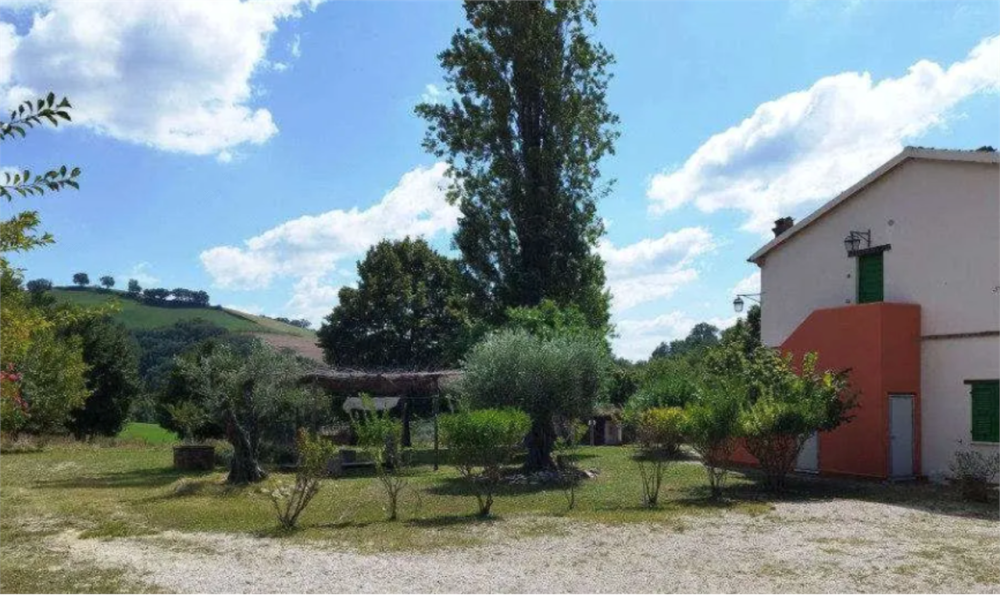 immagine annuncio 5 di 13