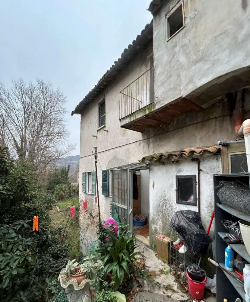 immagine annuncio 2 di 13