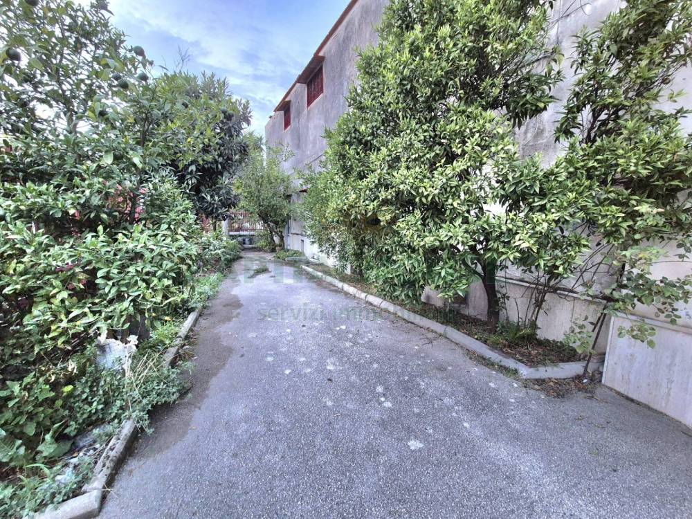 immagine annuncio 12 di 13