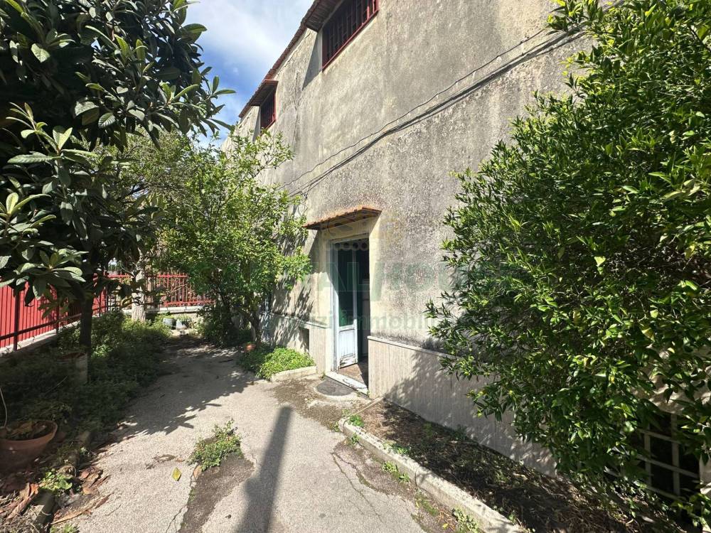 immagine annuncio 11 di 13
