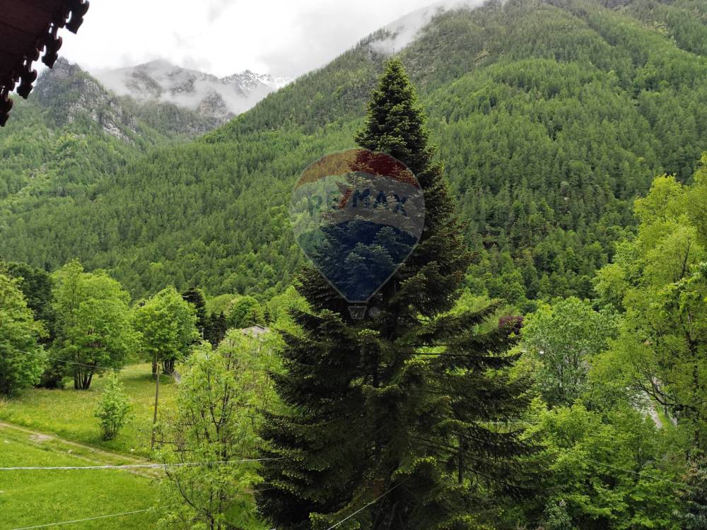 immagine annuncio 12 di 13