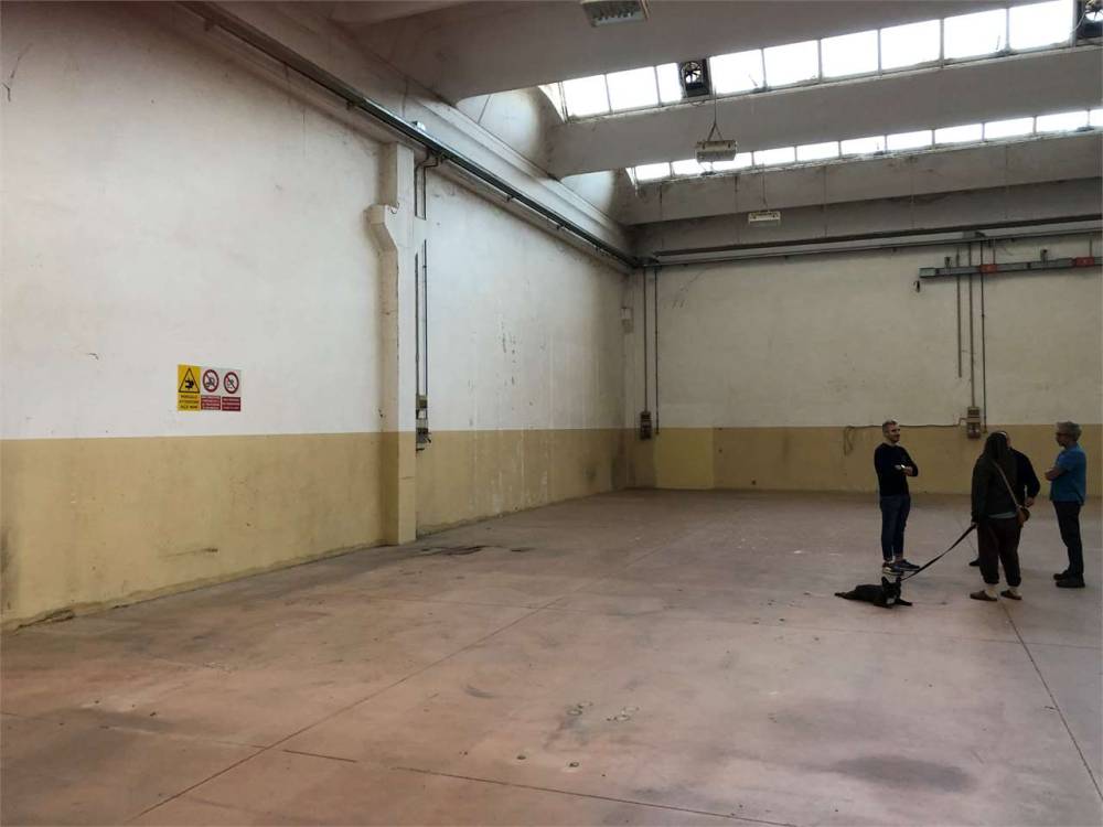 immagine annuncio 7 di 8