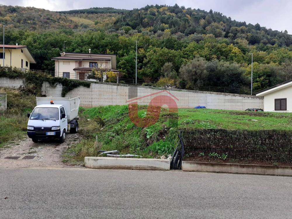 immagine annuncio 9 di 12