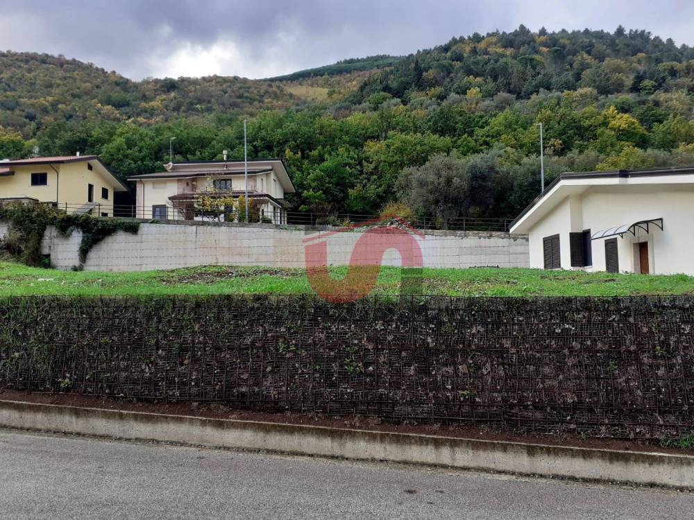 immagine annuncio 10 di 12