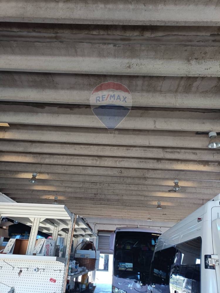 immagine annuncio 10 di 13