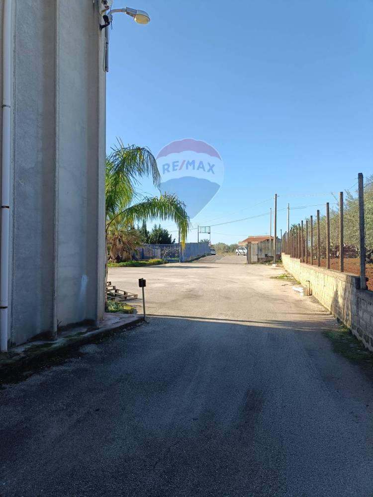 immagine annuncio 11 di 13