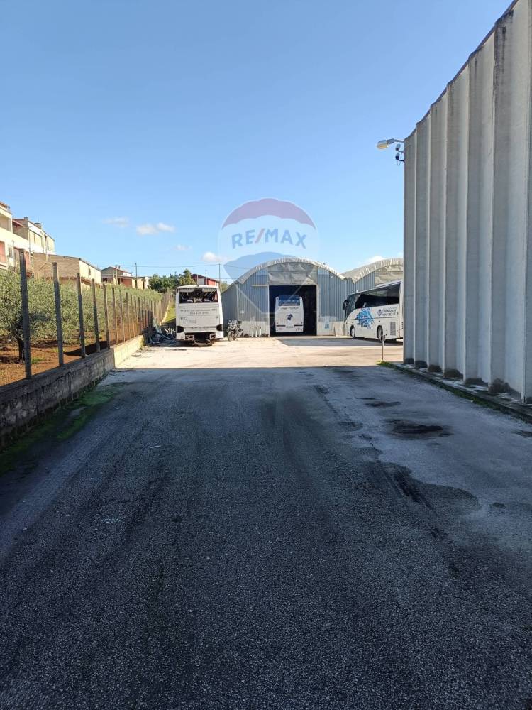 immagine annuncio 12 di 13