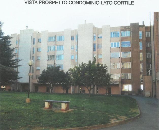 immagine annuncio 12 di 13