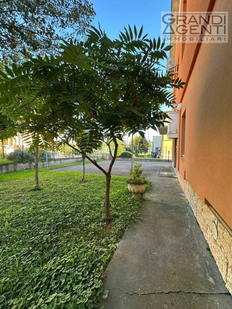 immagine annuncio 7 di 13