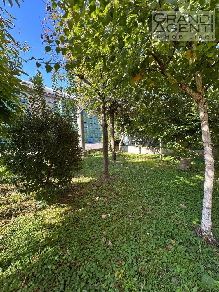 immagine annuncio 9 di 13