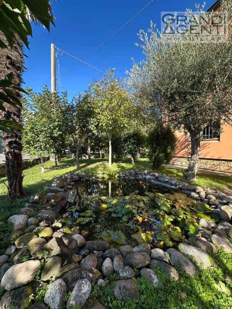 immagine annuncio 10 di 13