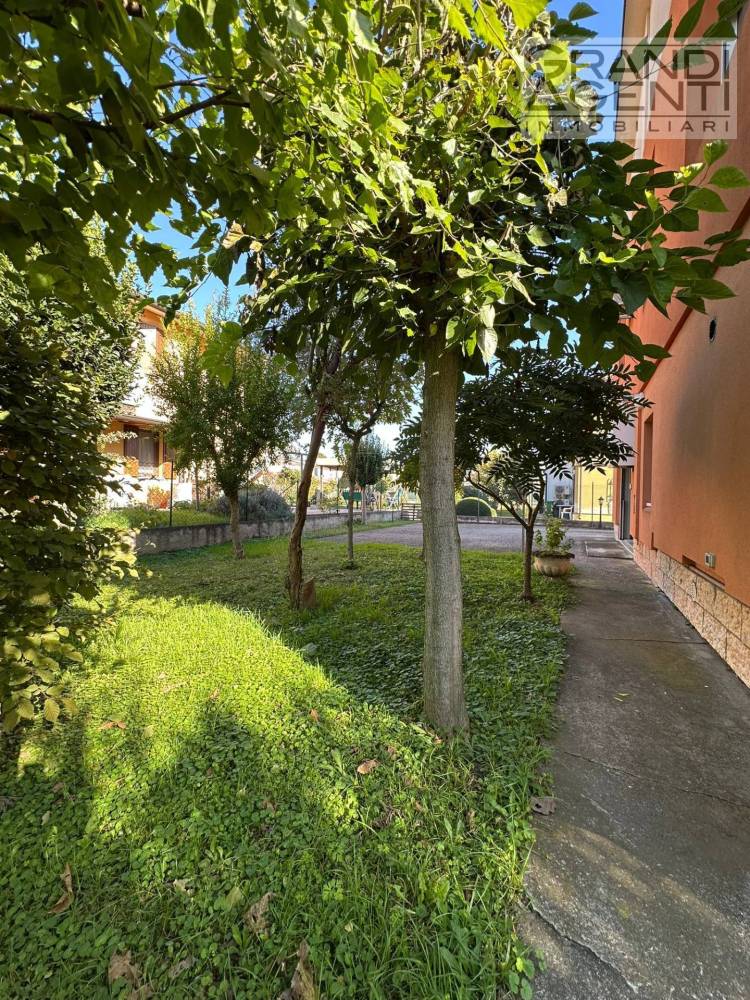 immagine annuncio 11 di 13