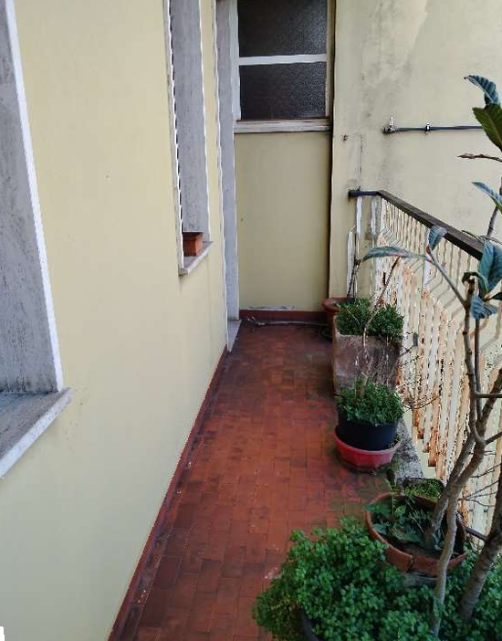 immagine annuncio 9 di 13