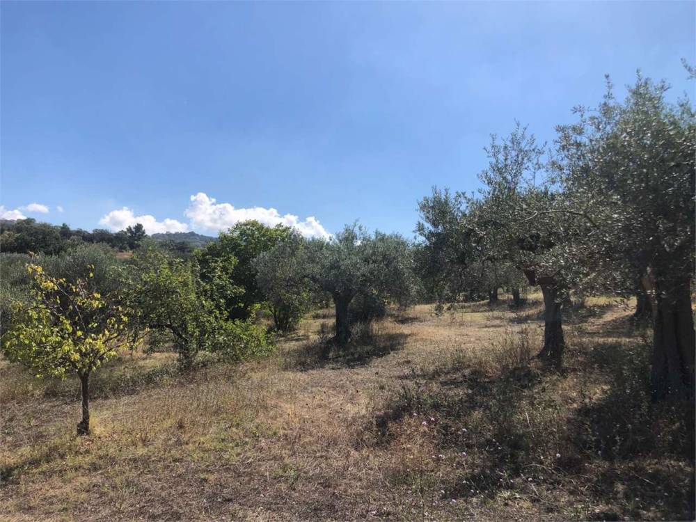 immagine annuncio 9 di 13