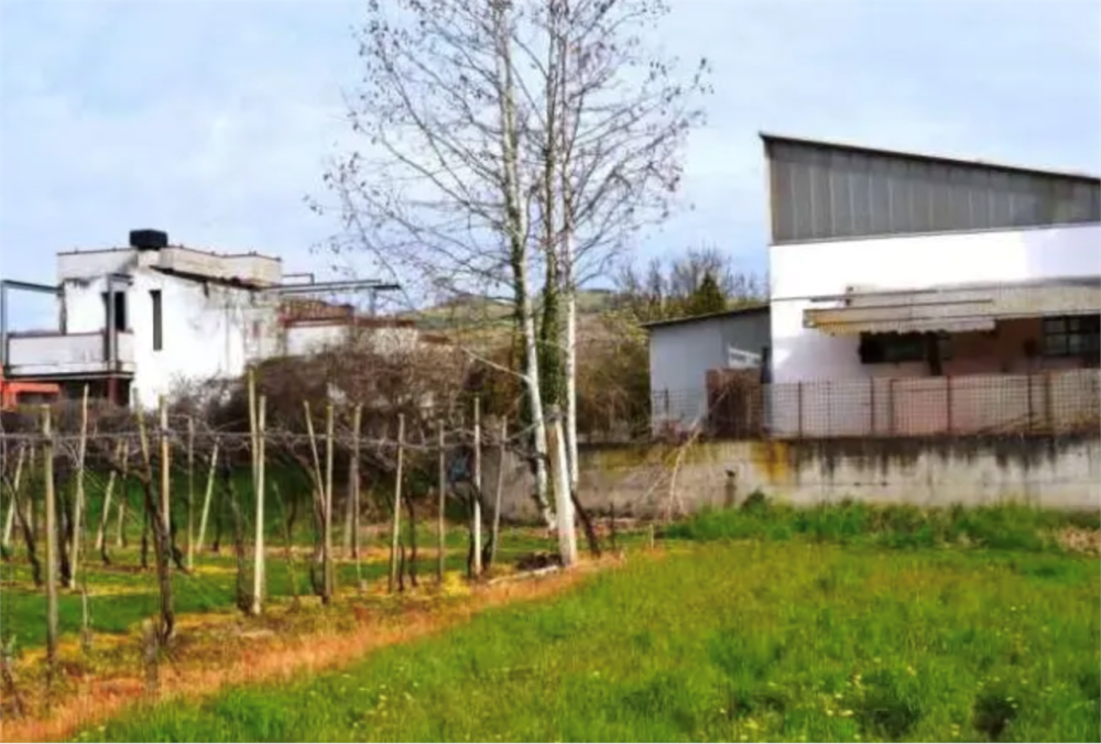 immagine annuncio 3 di 13