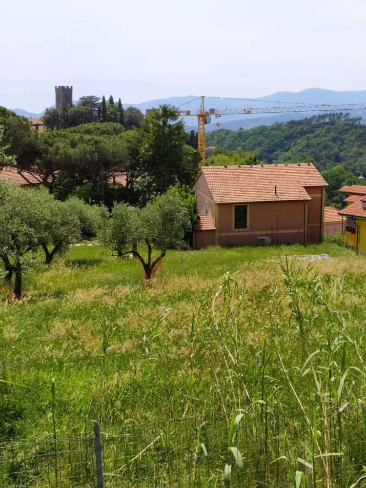 immagine annuncio 4 di 13