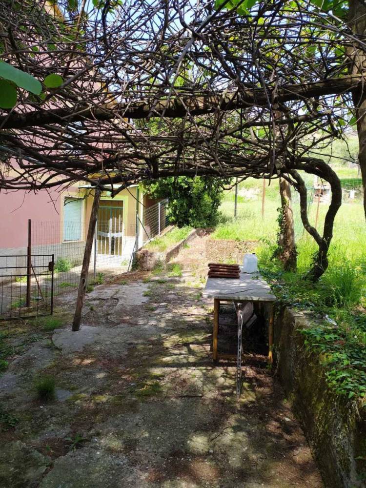 immagine annuncio 9 di 13