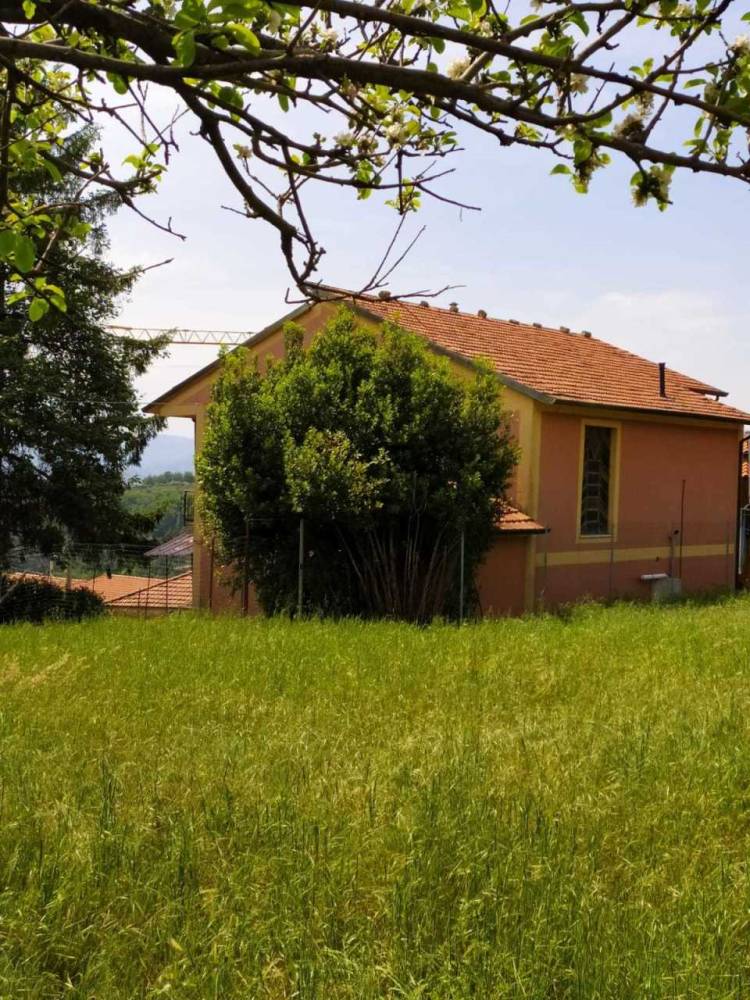immagine annuncio 6 di 13