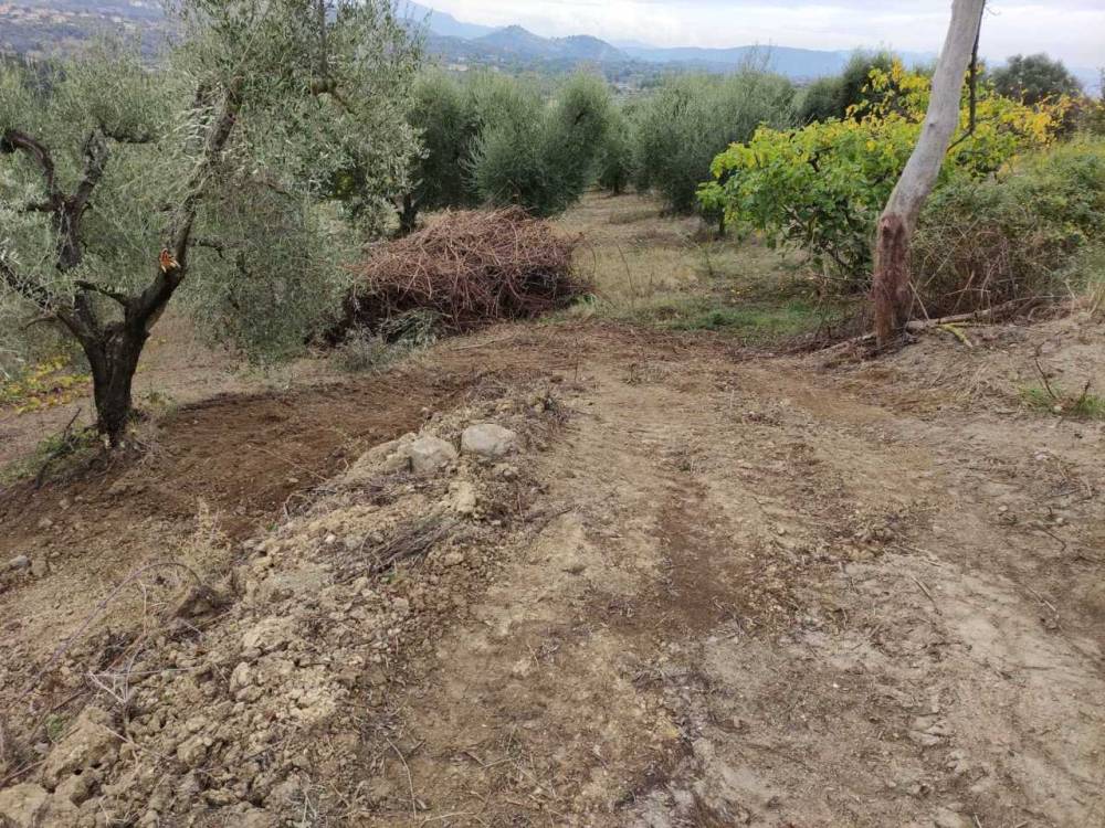 immagine annuncio 2 di 9