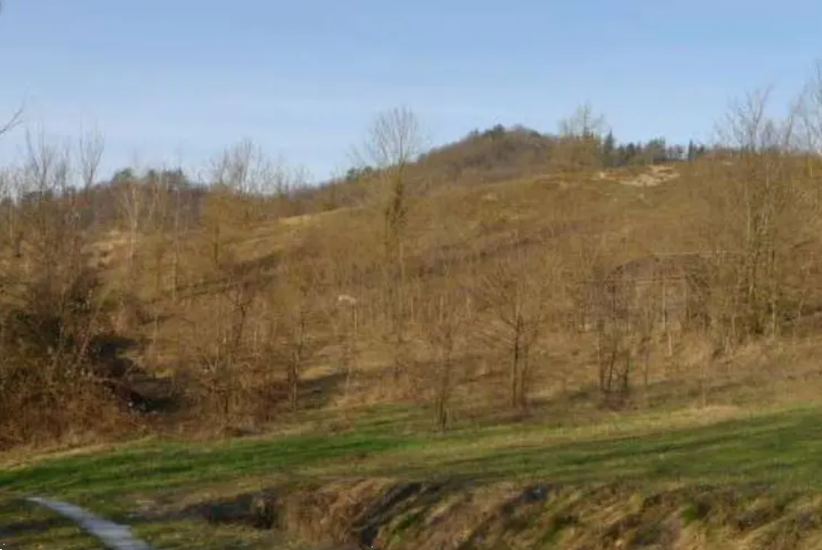 immagine annuncio 4 di 13