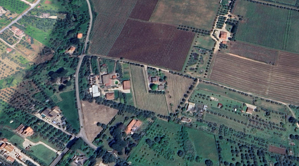 immagine annuncio 7 di 13