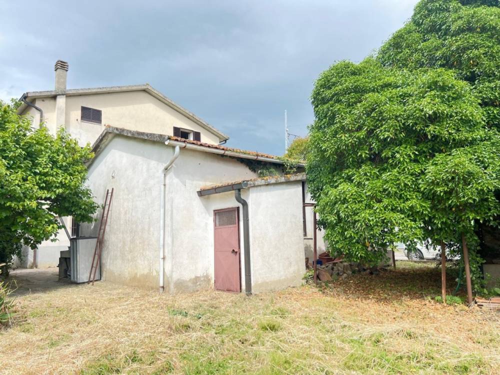 immagine annuncio 9 di 13