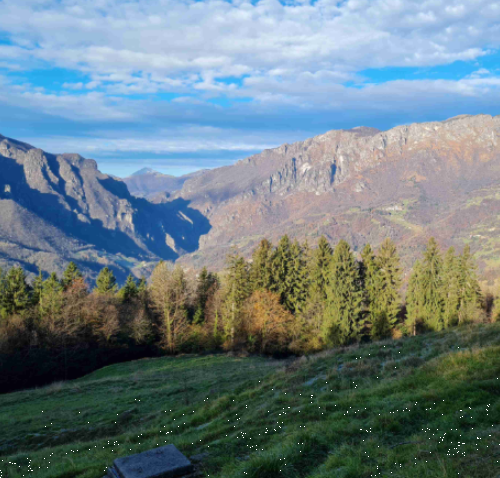 immagine annuncio 5 di 13