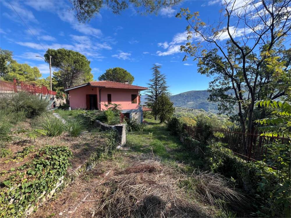 immagine annuncio 9 di 13
