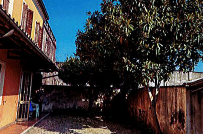 immagine annuncio 3 di 13