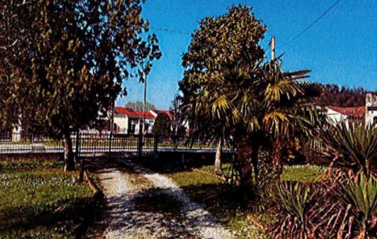 immagine annuncio 6 di 13