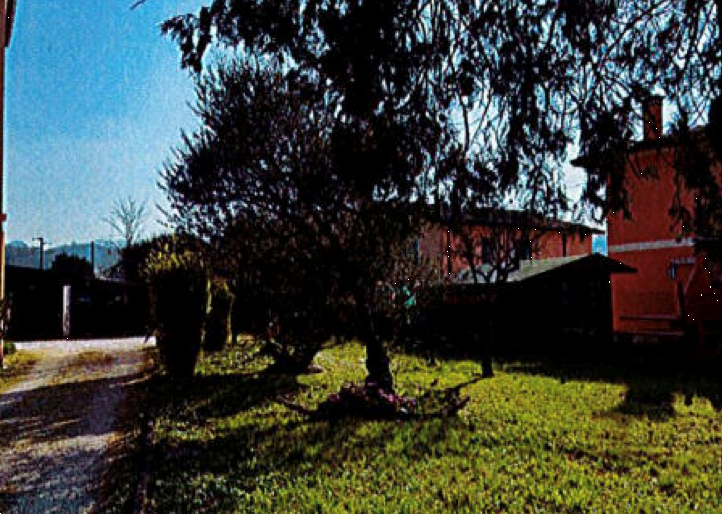 immagine annuncio 7 di 13