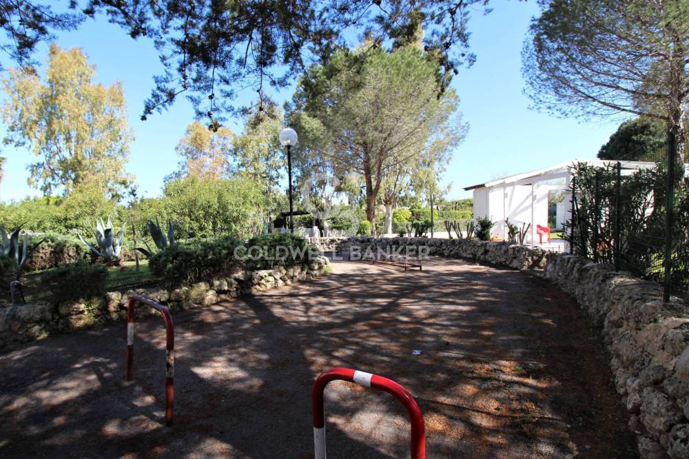 immagine annuncio 11 di 13