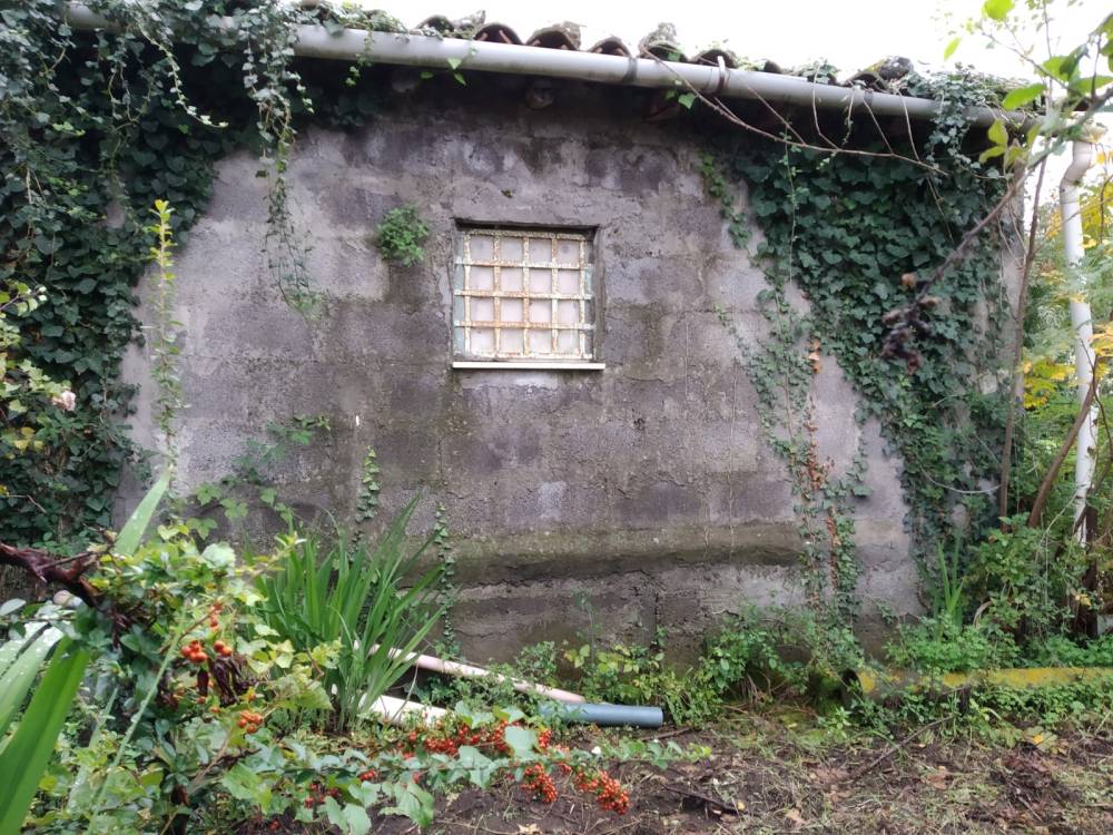 immagine annuncio 6 di 8