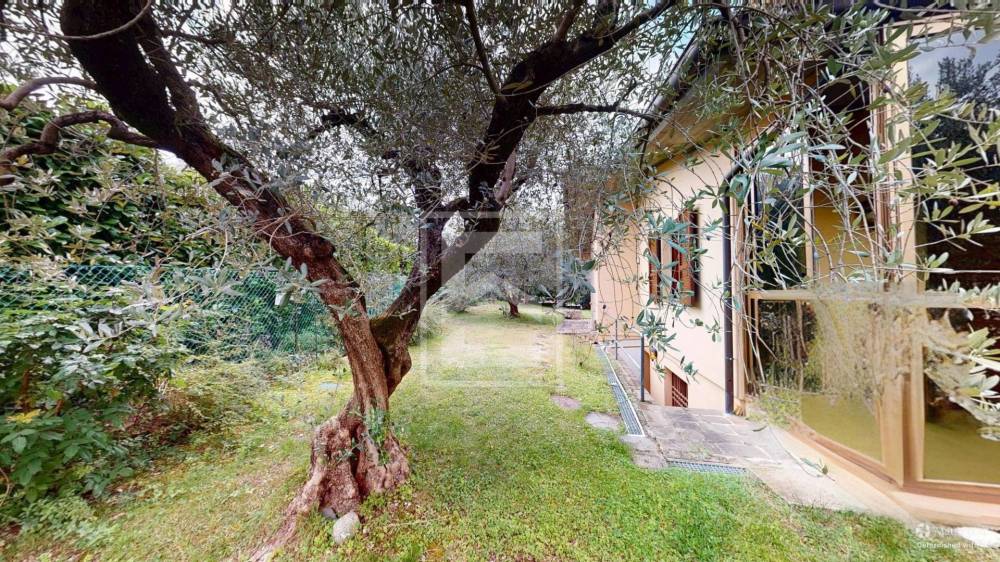 immagine annuncio 9 di 13