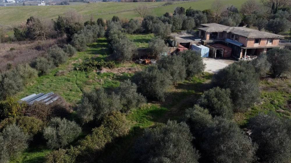 immagine annuncio 2 di 13