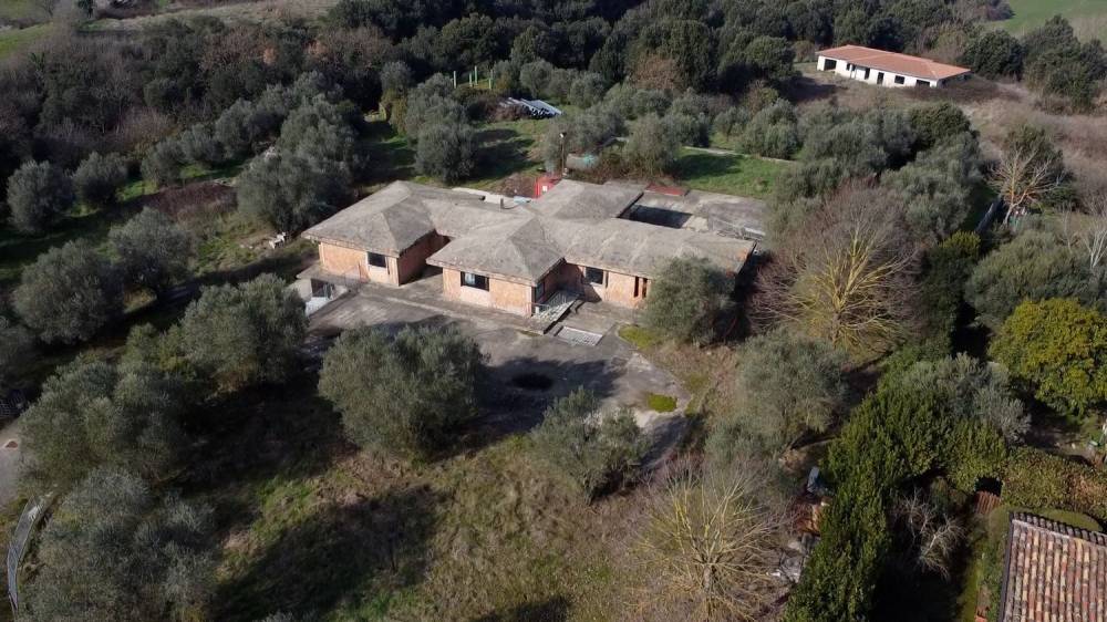 immagine annuncio 6 di 13