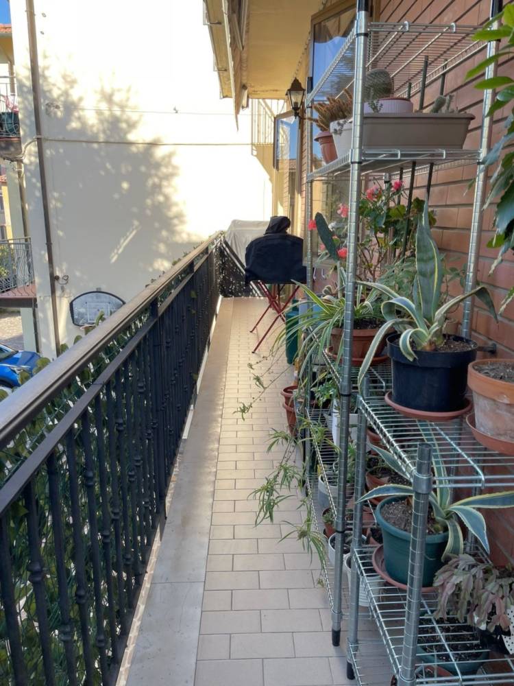 immagine annuncio 7 di 13