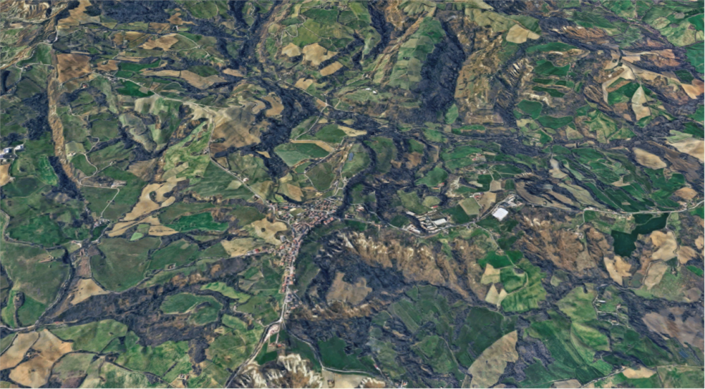 immagine annuncio 9 di 13