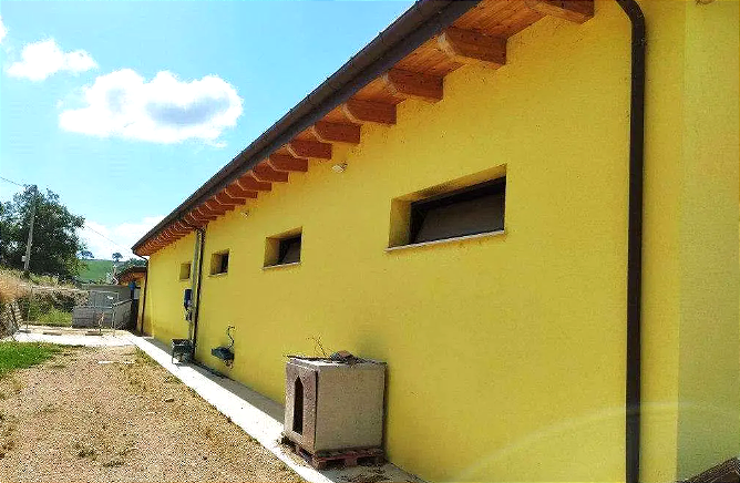 immagine annuncio 1 di 13