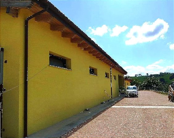 immagine annuncio 2 di 13