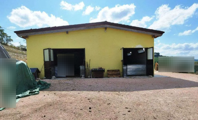 immagine annuncio 3 di 13