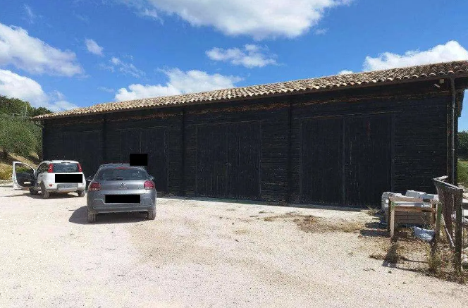 immagine annuncio 4 di 13