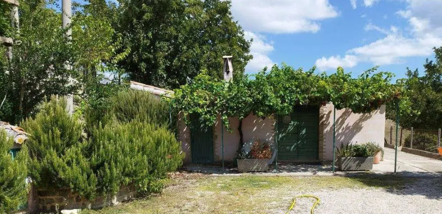 immagine annuncio 5 di 13