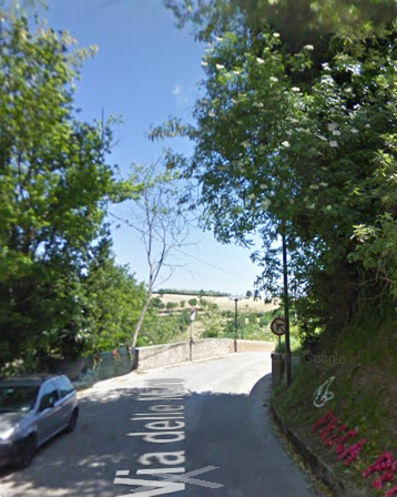 immagine annuncio 11 di 13