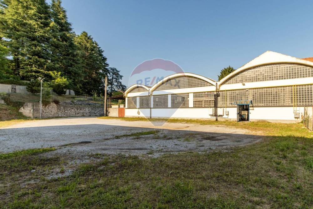 immagine annuncio 10 di 13