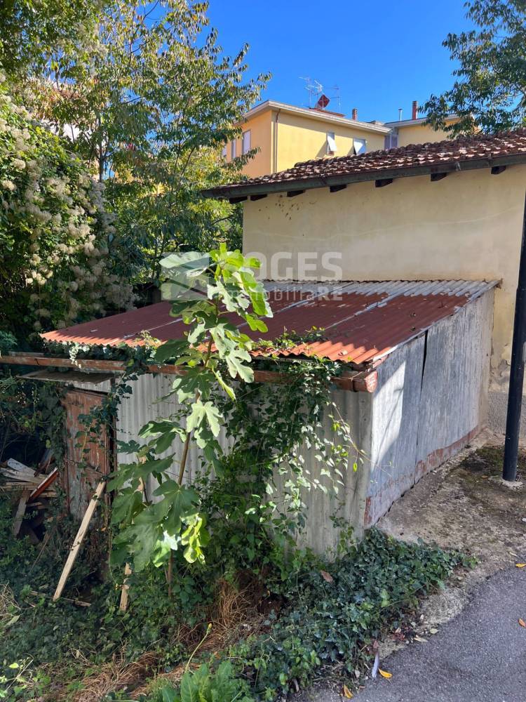 immagine annuncio 10 di 12